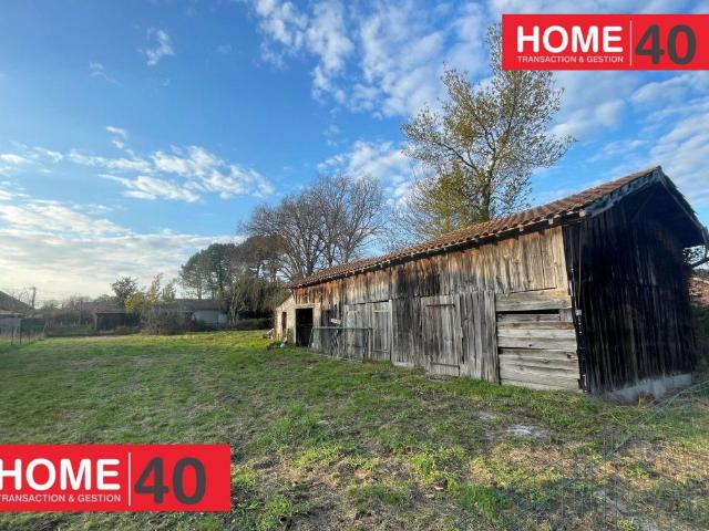 Maison vente à France métropolitaine, Sanguinet