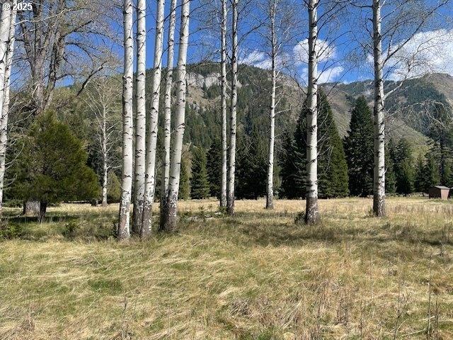 Land for sale in Oregonia