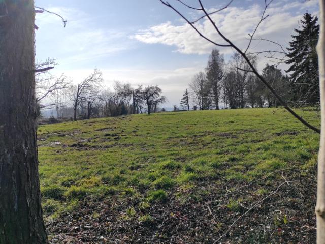 Terrain vente à Lisieux, Grangues
