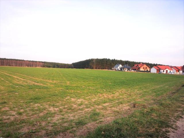 Grunt na sprzedaż w Leszno, Wielkopolskie