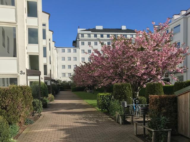 Lägenhet hyra i Malmö, Skåne