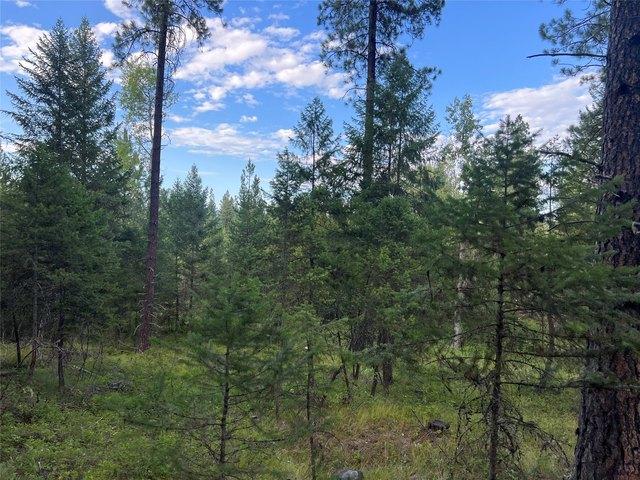 Land for sale in Libby, Montana