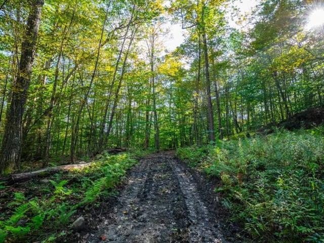 Land for sale in North Pomfret, Vermont