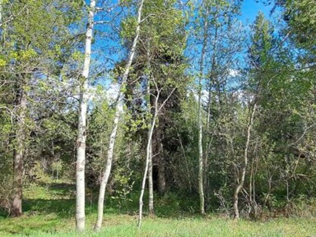 Land for sale in Ashton, Idaho