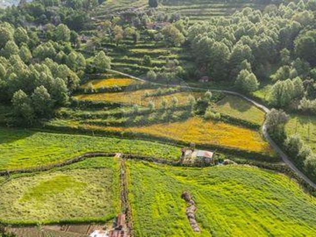 Terreno venda em Celorico De Basto, Braga