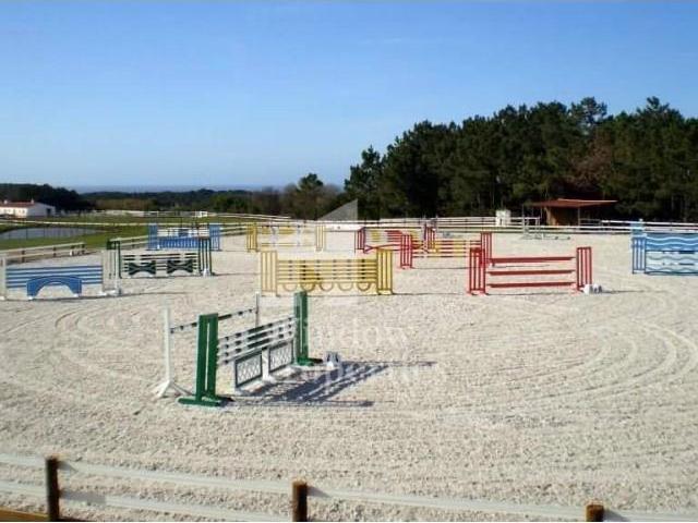Terreno venda em Odemira, Beja