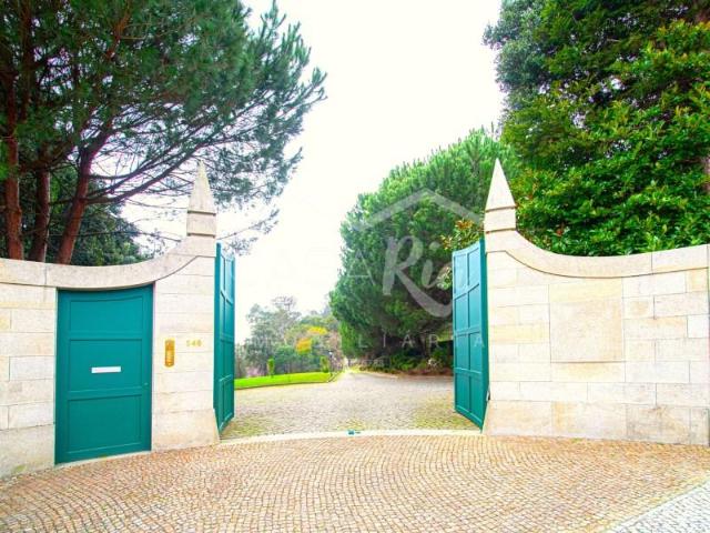 Terreno alugar em Oliveira De Azeméis, Aveiro