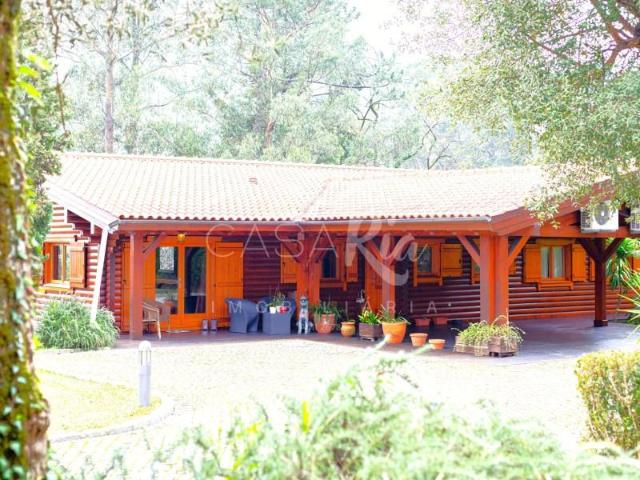 Terreno alugar em Oliveira De Azeméis, Aveiro