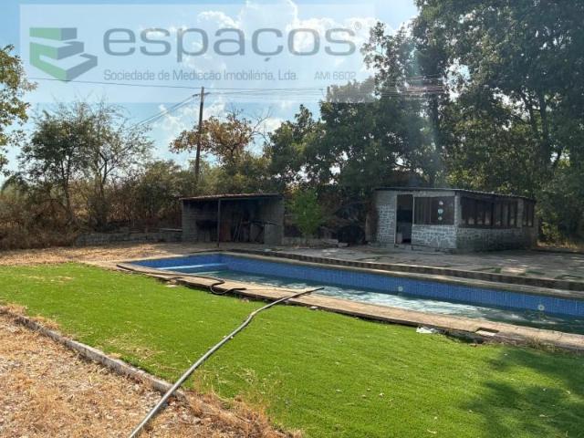 Terreno venda em Castelo Branco