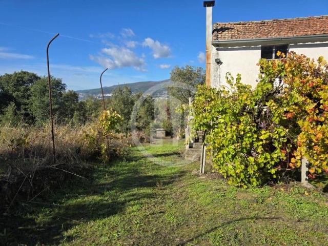 Terreno venda em Castelo Branco, Canhoso
