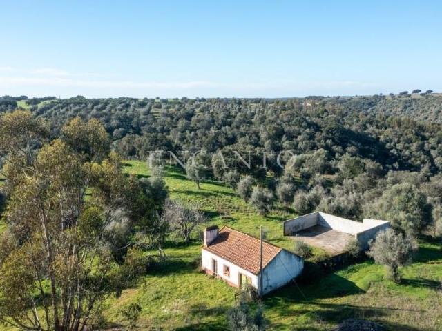 Terreno venda em Montemor-o-Velho e Gatões, Montemor-o-velho