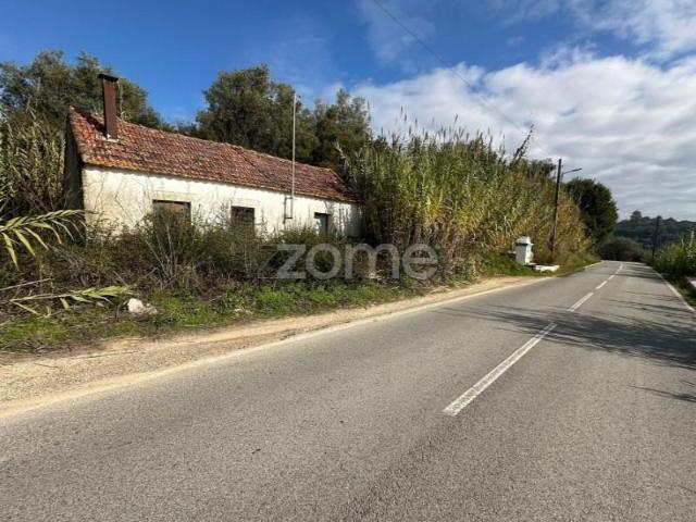 Terreno venda em Santarém