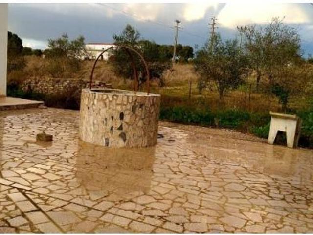 Terreno venda em Estremoz, Mártires