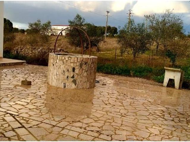 Terreno venda em Estremoz, Évora