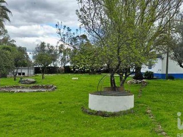 Terreno venda em Estremoz, Évora