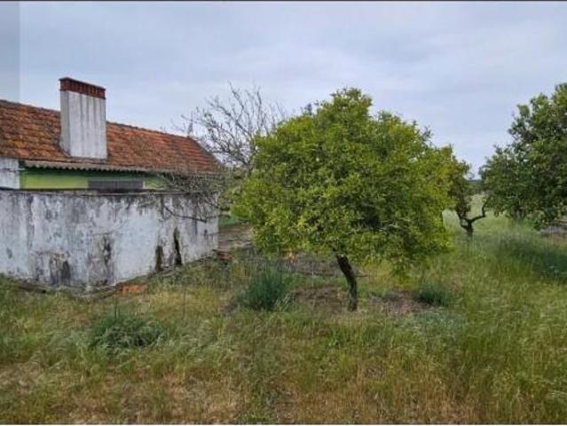 Terreno venda em Silha do Pascoal, Grândola