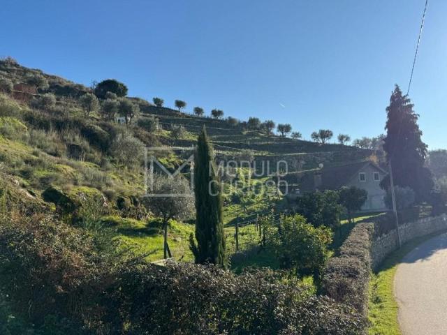 Terreno venda em Lamego, Viseu