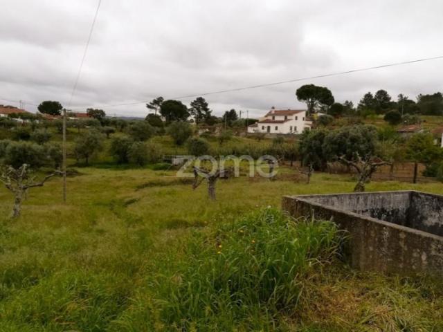 Terreno venda em Tomar, Santarém