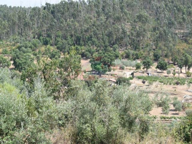 Terreno venda em Poiares (Santo André), Vila Nova De Poiares