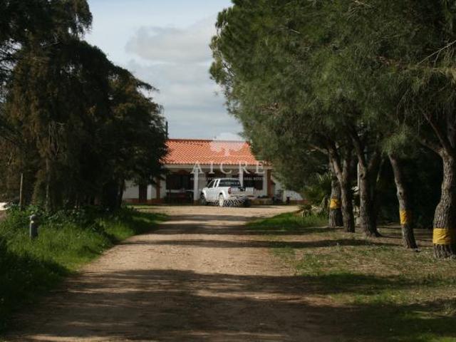 Terreno venda em Aljustrel Terreno venda em Aljustrel