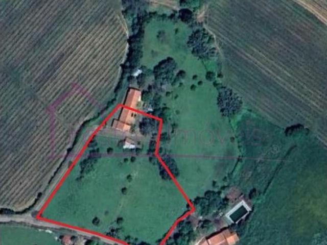 Terreno venda em Estremoz, Évora