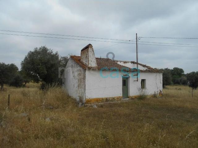 Terreno venda em Évora