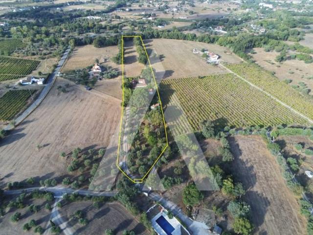 Terreno venda em Évora