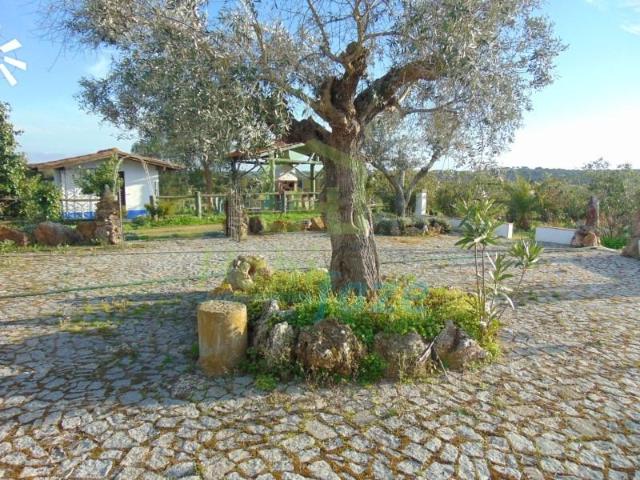 Terreno venda em Évora