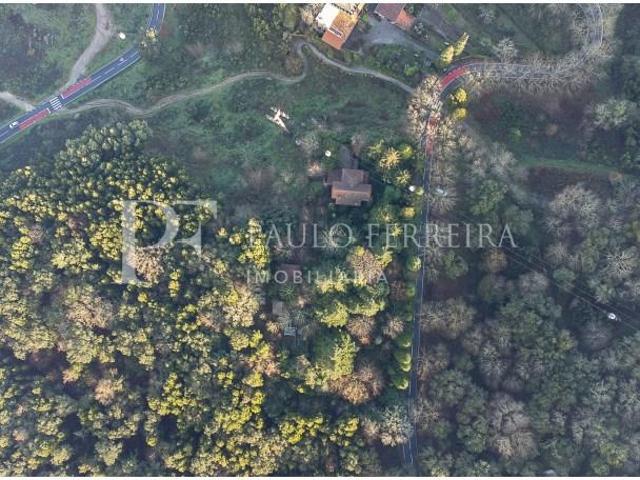 Terreno venda em Guimarães Terreno venda em Guimarães