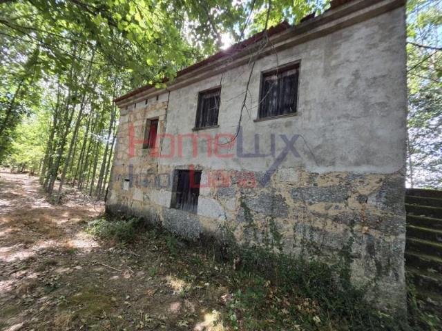 Terreno venda em Penalva Do Castelo, Viseu