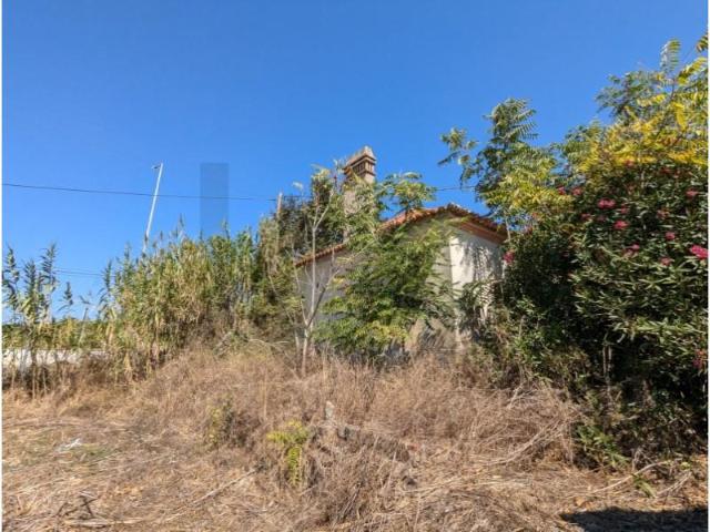 Terreno venda em Aldeia dos Chãos, Santiago Do Cacém
