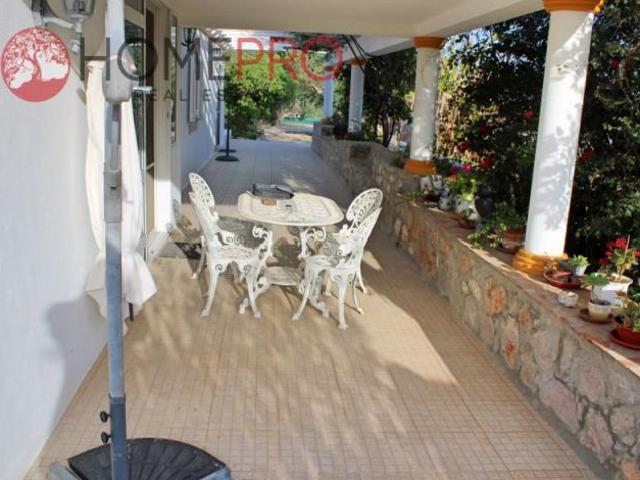 Terreno venda em Tavira