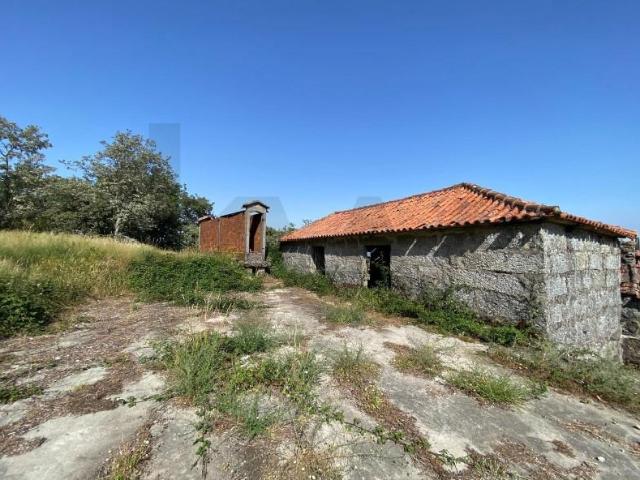 Terreno venda em Monte do Marco, Celorico De Basto