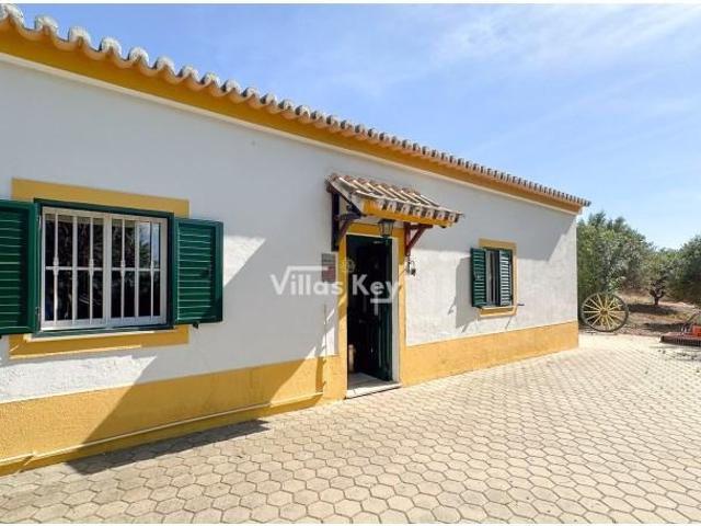 Terreno venda em Lagoa, Faro