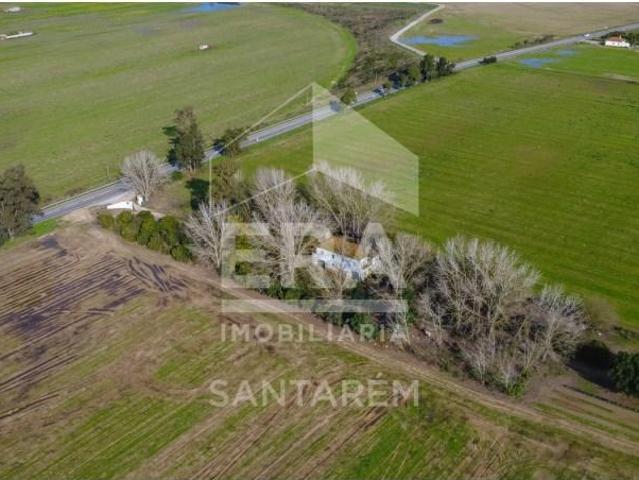 Terreno venda em Cortiçóis, Almeirim