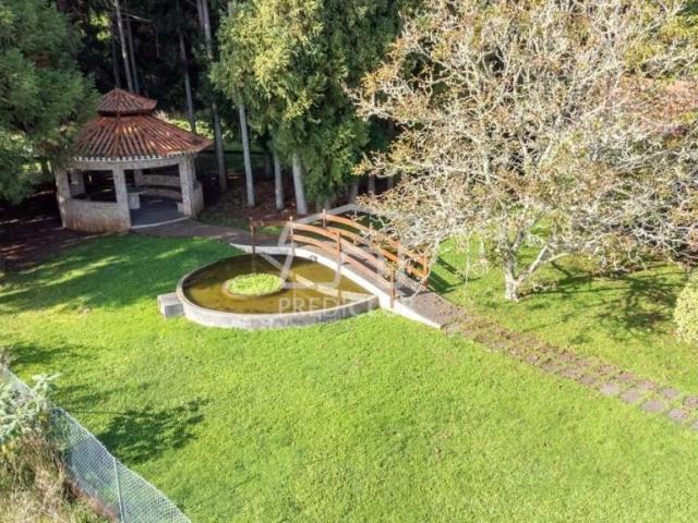 Terreno alugar em Santa Cruz