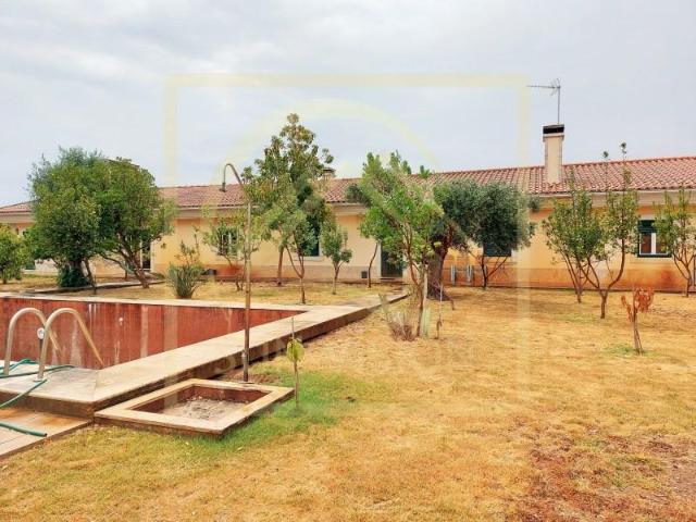 Terreno venda em Estremoz, Évora