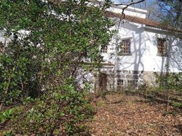 Terreno venda em Couto Do Mosteiro, Viseu