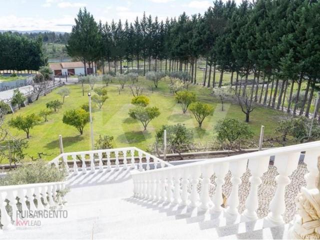 Terreno venda em Belmonte