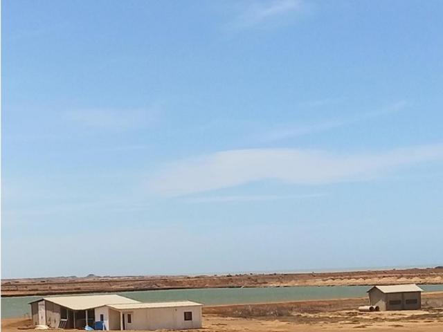 Terreno en venta en Buchivacoa, Falcón