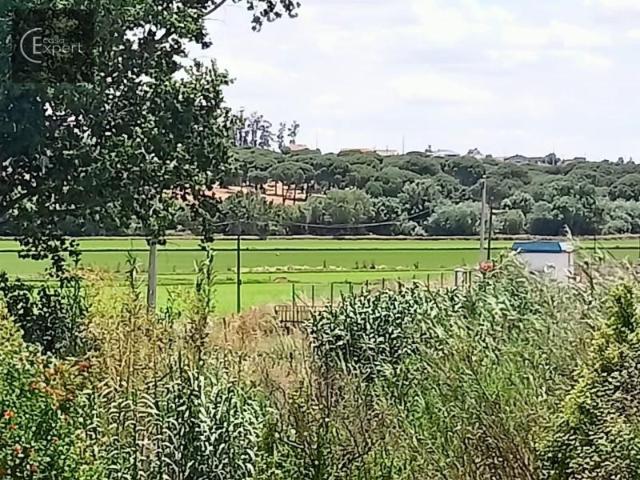 Terreno venda em Alcácer Do Sal, Setúbal