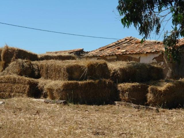Terreno venda em Aljezur, Faro