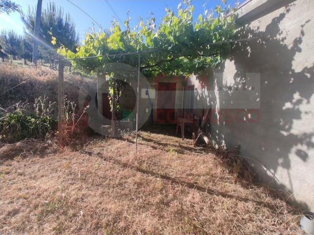 Terreno venda em Arganil