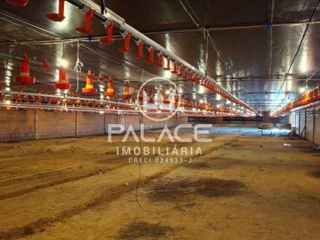 Sítio e chácara venda em Tietê