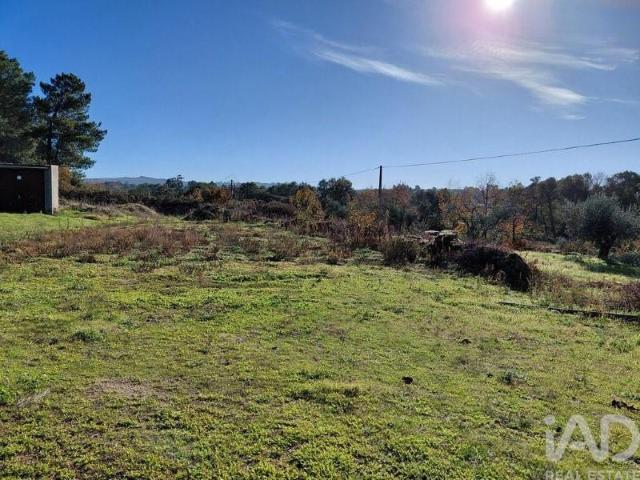 Terreno venda em Castelo Branco, Caria