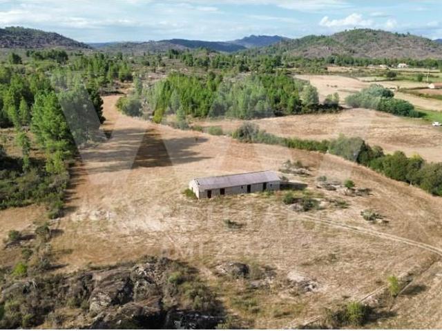 Terreno venda em Castelo Branco