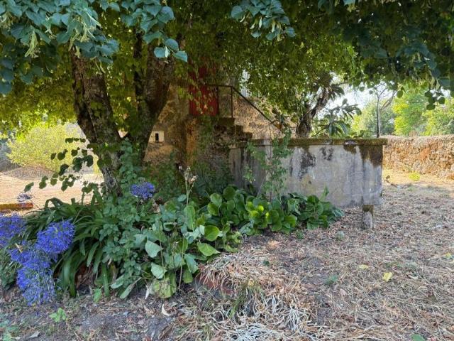 Terreno venda em Póvoa de Santo Amaro, Carregal Do Sal