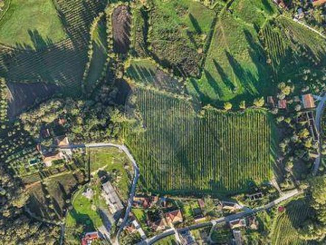 Terreno venda em Celorico De Basto, Braga