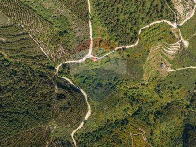 Terreno venda em Celorico De Basto, Braga