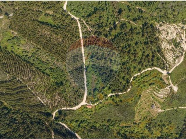 Terreno venda em Celorico De Basto, Braga